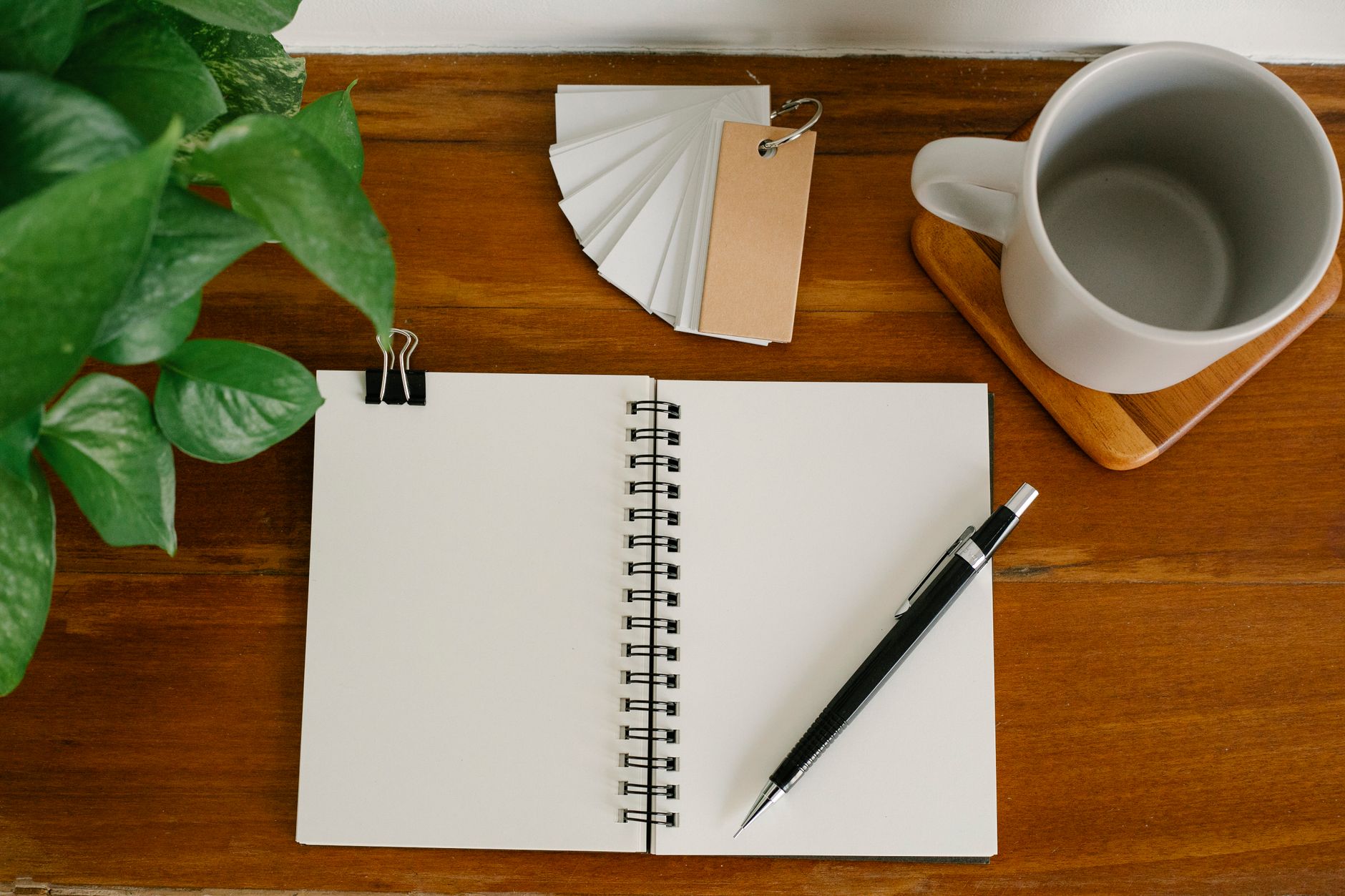 A spiral notebook open to blank pages on a wooden desk, with a black pen across the right page, a grey mug, a small fan of blank cards and a green plant.