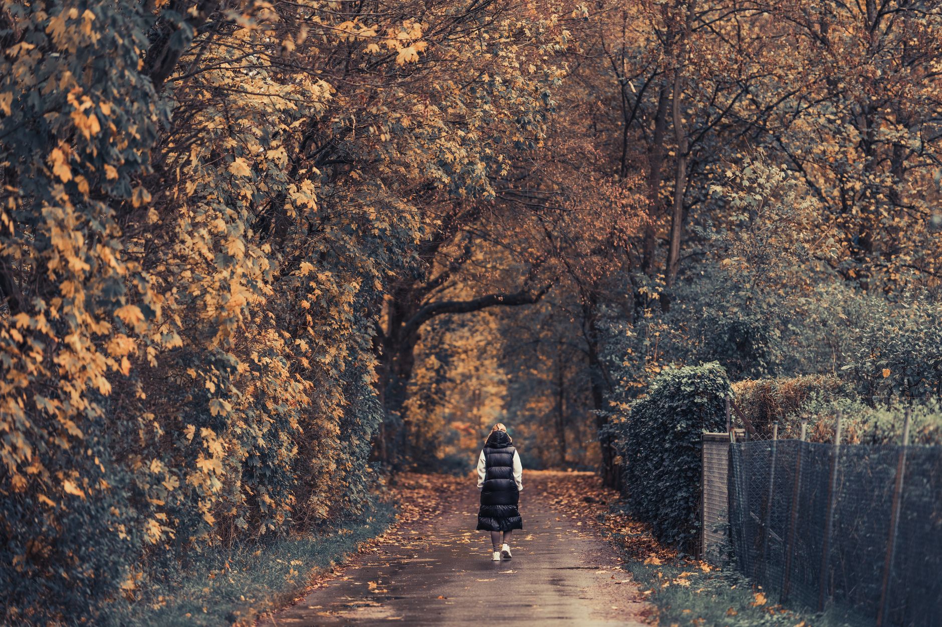A woman seen from behind walks away along a leaf-covered path under yellow autumn trees, wearing a dark coat over a light top.